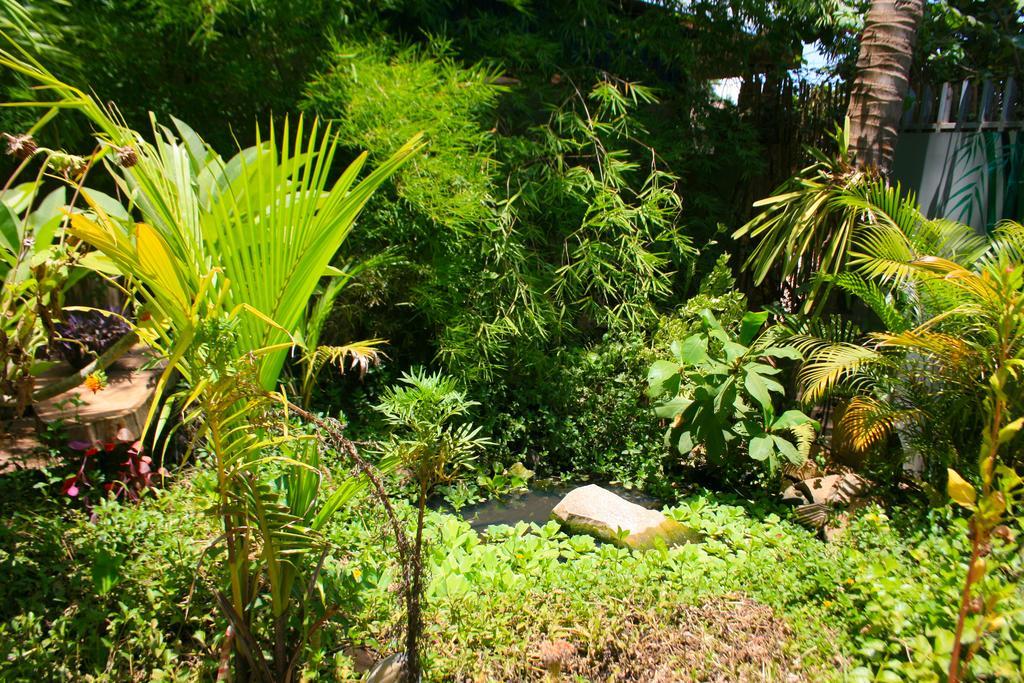Firefly Guesthouse - The Berlin Angkor Ciudad de Siem Riep Exterior foto