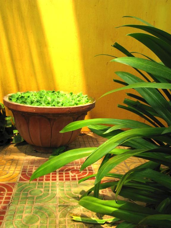 Firefly Guesthouse - The Berlin Angkor Ciudad de Siem Riep Exterior foto